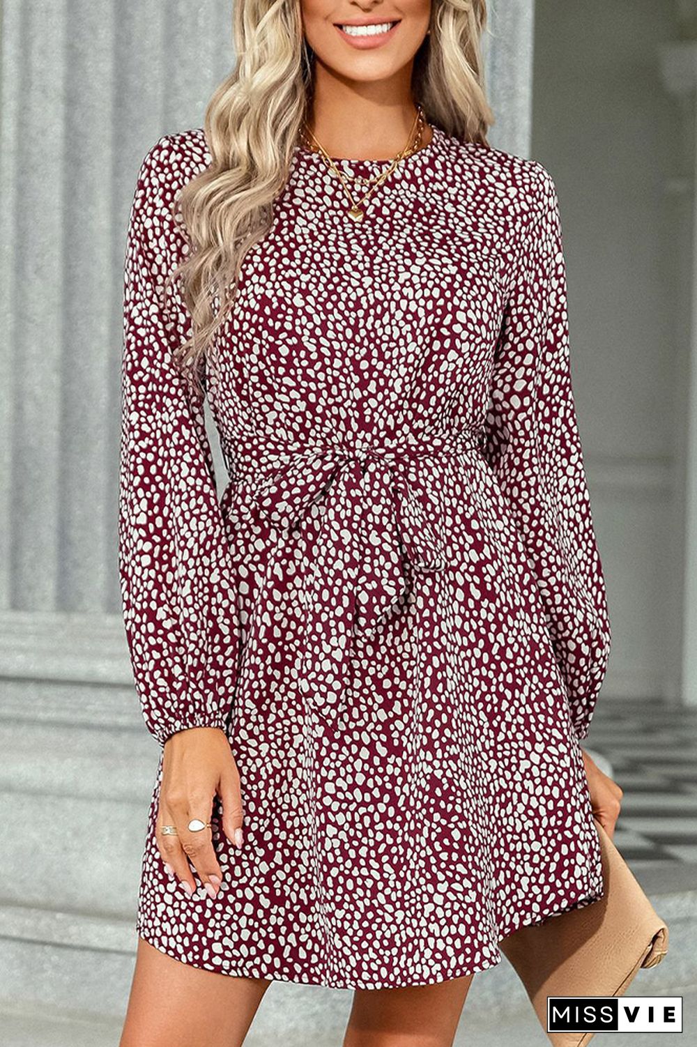 Leopard Print Waist Belt Long Sleeves Mini Dress