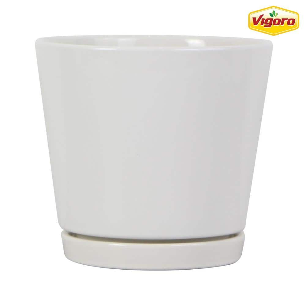 Vigoro 6 in. Piedmont Small White Ceramic Planter (6 in. D x 5.7 in. H) with Drainage Hole and Attached Saucer CR01721S-06W