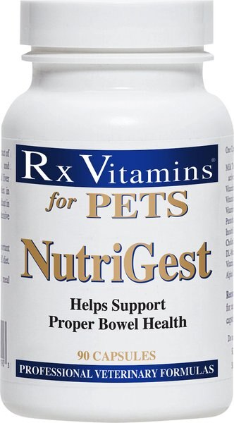 Rx Vitamins Nutrigest Capsules Digestive Supplement for Cats and Dogs