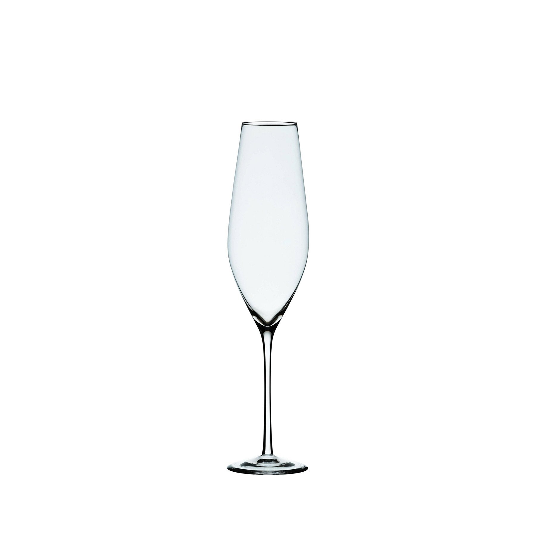 Cabernet Champagne Glass (Set of 6)