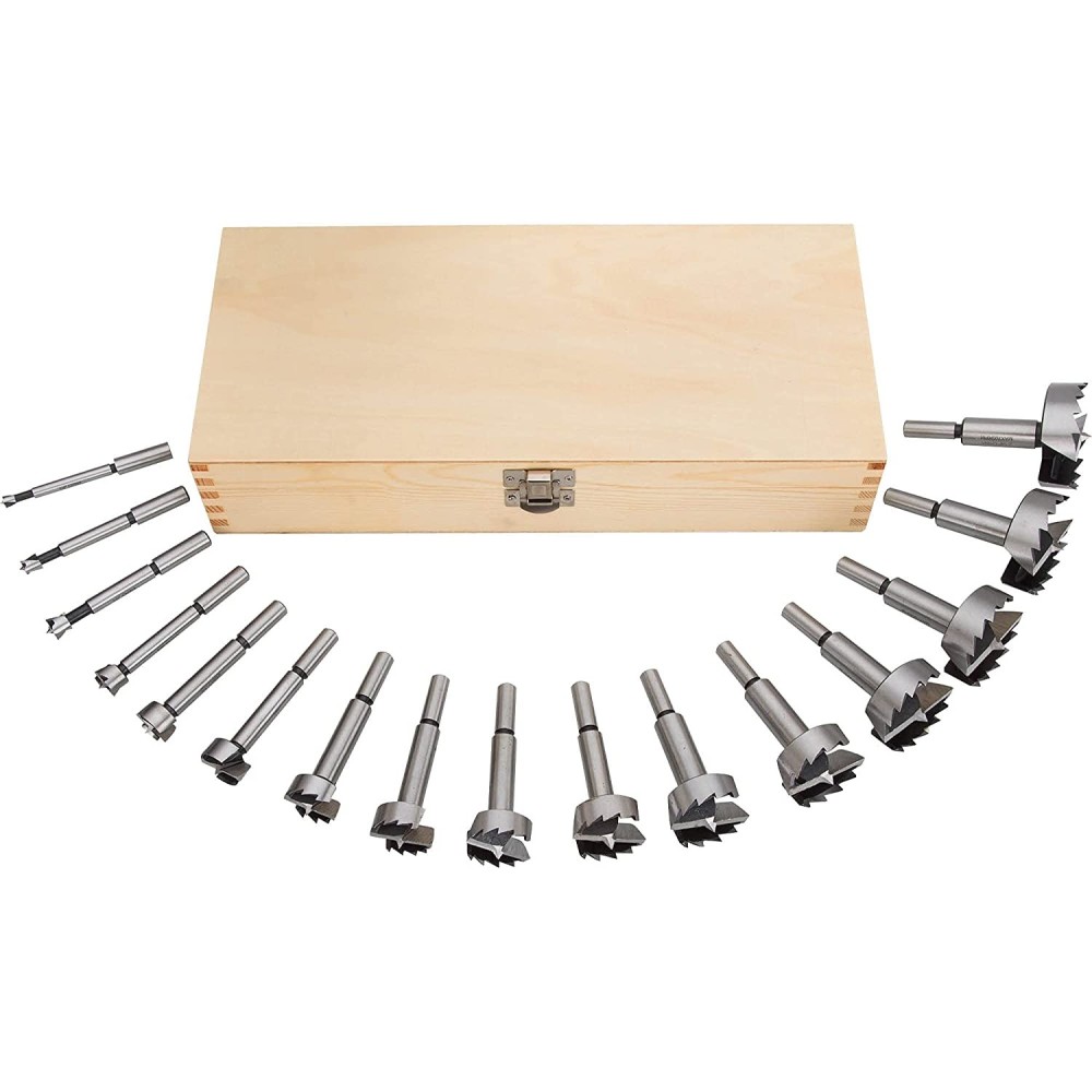 Steelex Forstner Bit Set 1/4 to 2-1/8 16pc ;