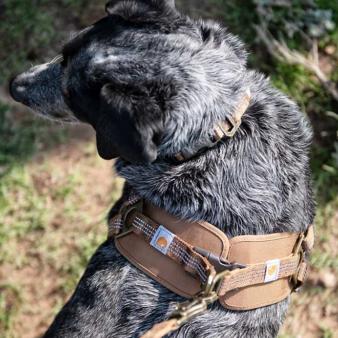 Carhartt Dog Walking Harness