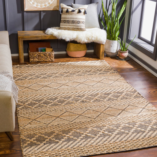 Santa Barbara Contemporary Jute Tan Rug