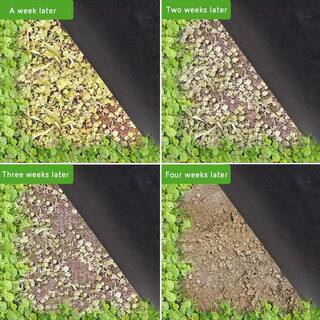 VIVOSUN 3 ft. x 100 ft. Barrier Landscape Fabric used for Flower Bed Patio Orchard and Playground X0028GWZSP