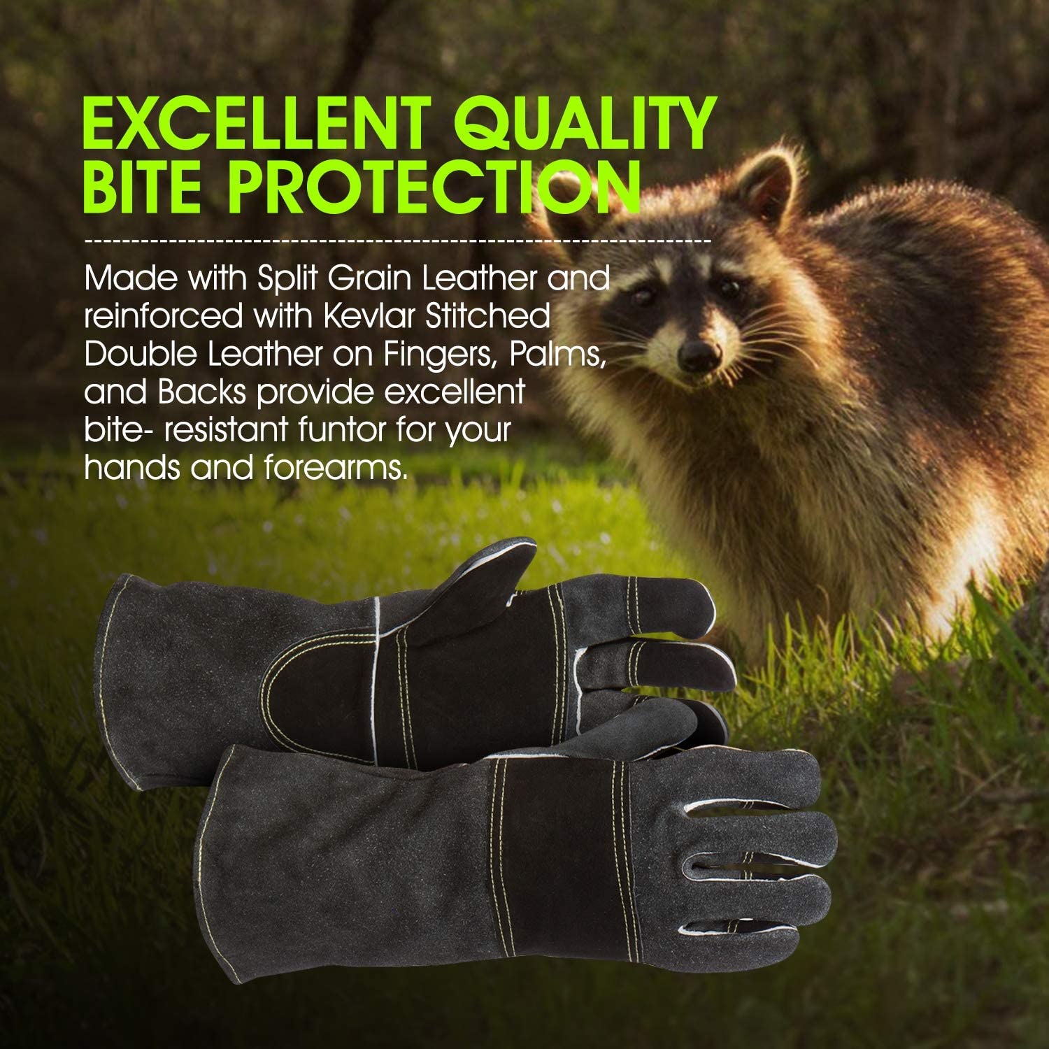 Protective Gloves, Professional Animal Handling with Leather and Kevlar; Anti Scratch, Bite for Dog, Cat, Falconry, Reptile, Parrot (1, Medium)