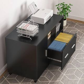 TRIBESIGNS WAY TO ORIGIN Catherine Black File Cabinet with Lock and Drawer HD-C0299