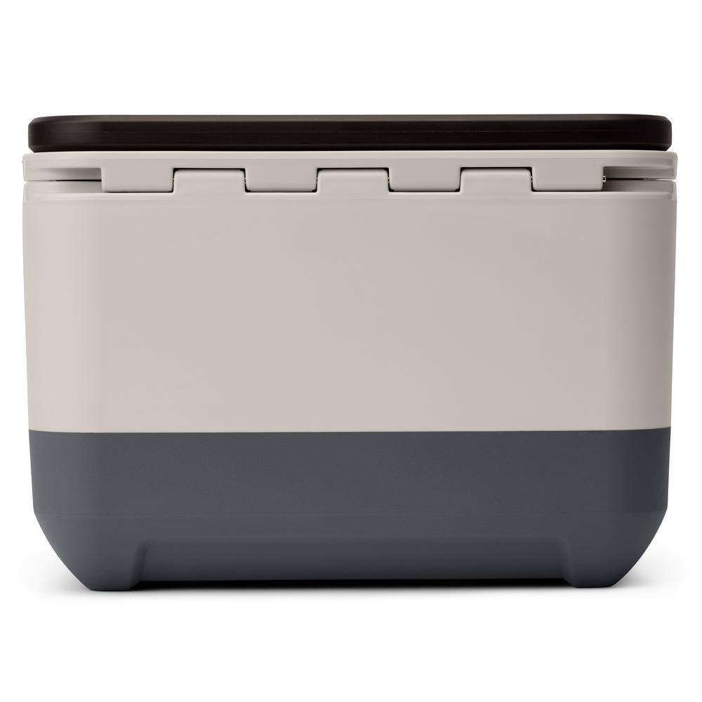 Coleman Pro 17 qt. Chest Cooler 2180609