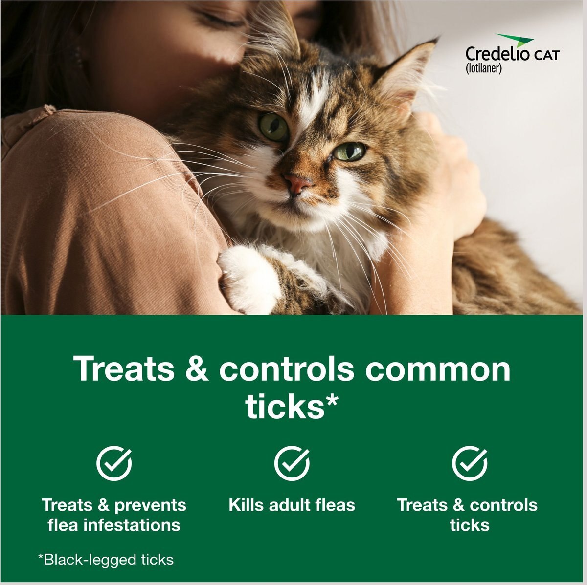 Credelio Chewable Tablets for Cats， 4.1-17 lbs， (Teal Box)