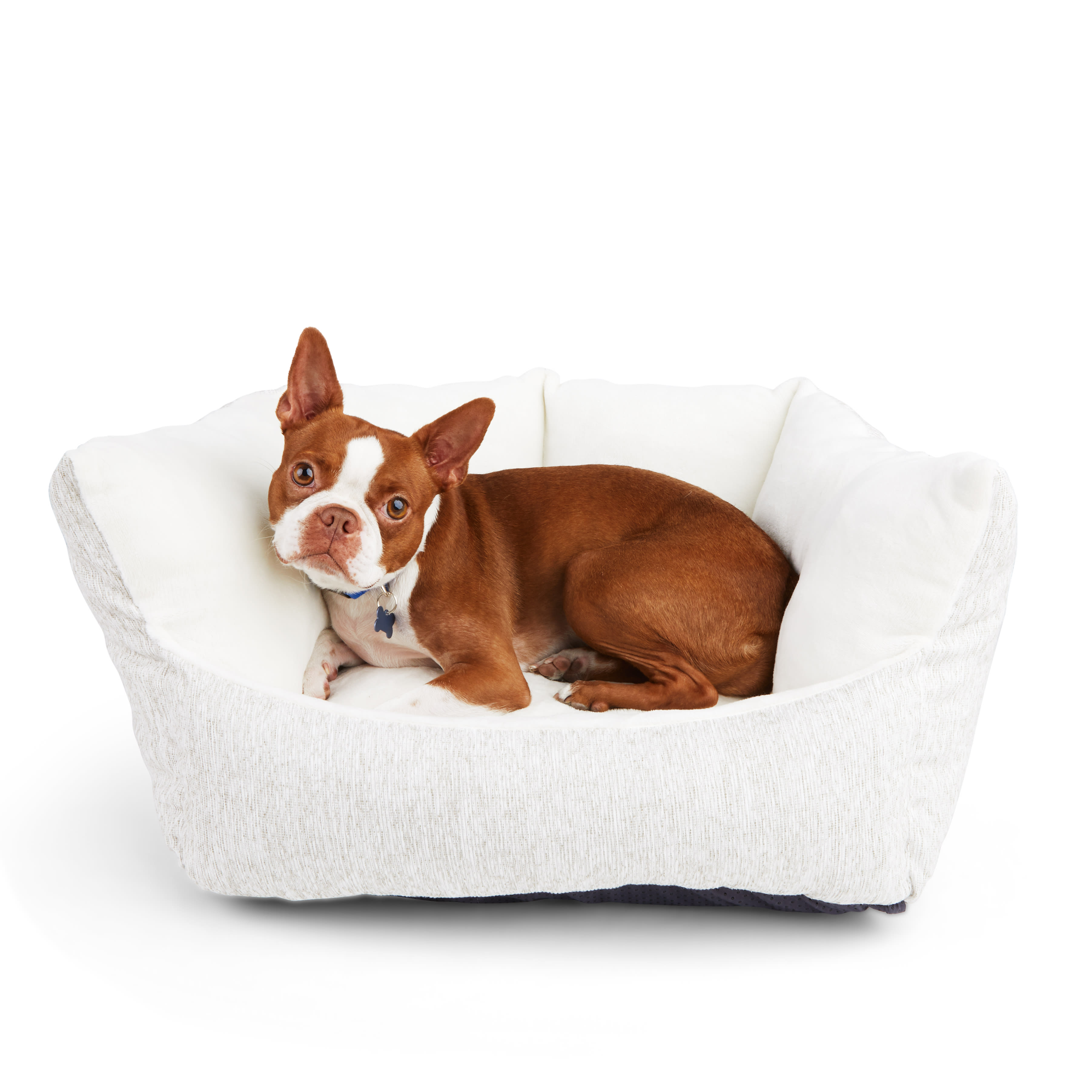 EveryYay Essentials Melange Comfort Wall Orthopedic Dog Bed， 22