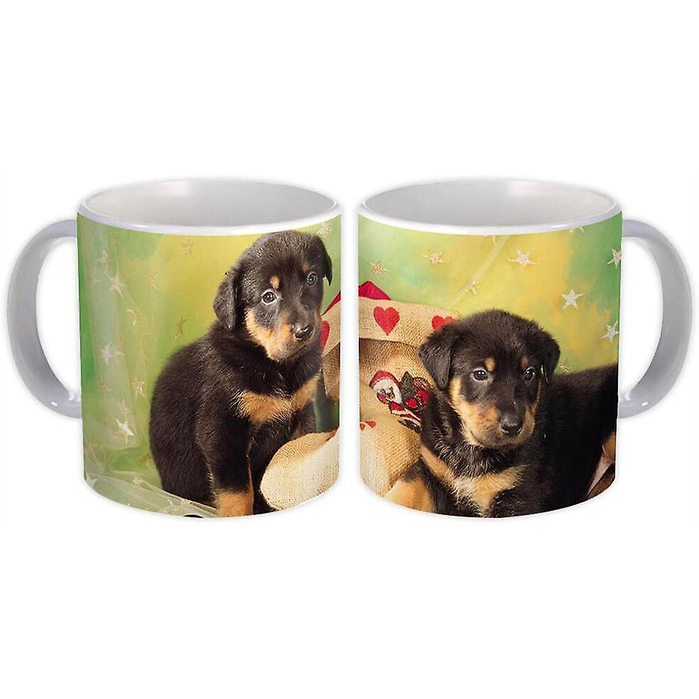 Gift Mug: Dogs Pet