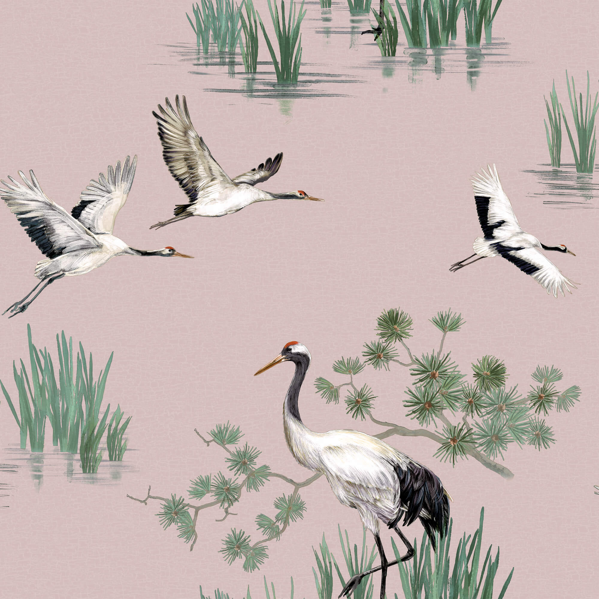 Sample Cranes in Water Pink Wallpaper