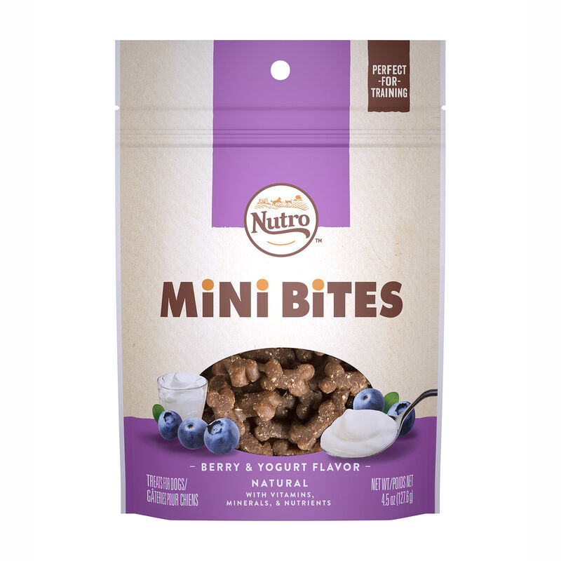 Mini Bites Berry and Yogurt Flavor Dog Treats 8oz