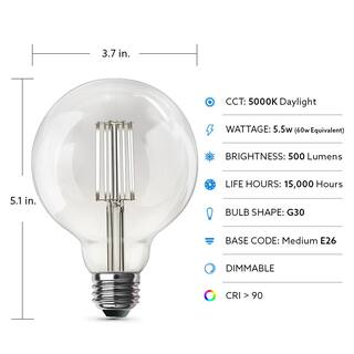 Feit Electric 60-Watt Equivalent G30 Dimmable Cage Filament Clear Glass E26 Vintage Edison LED Light Bulb Daylight G3060950CAHDRP