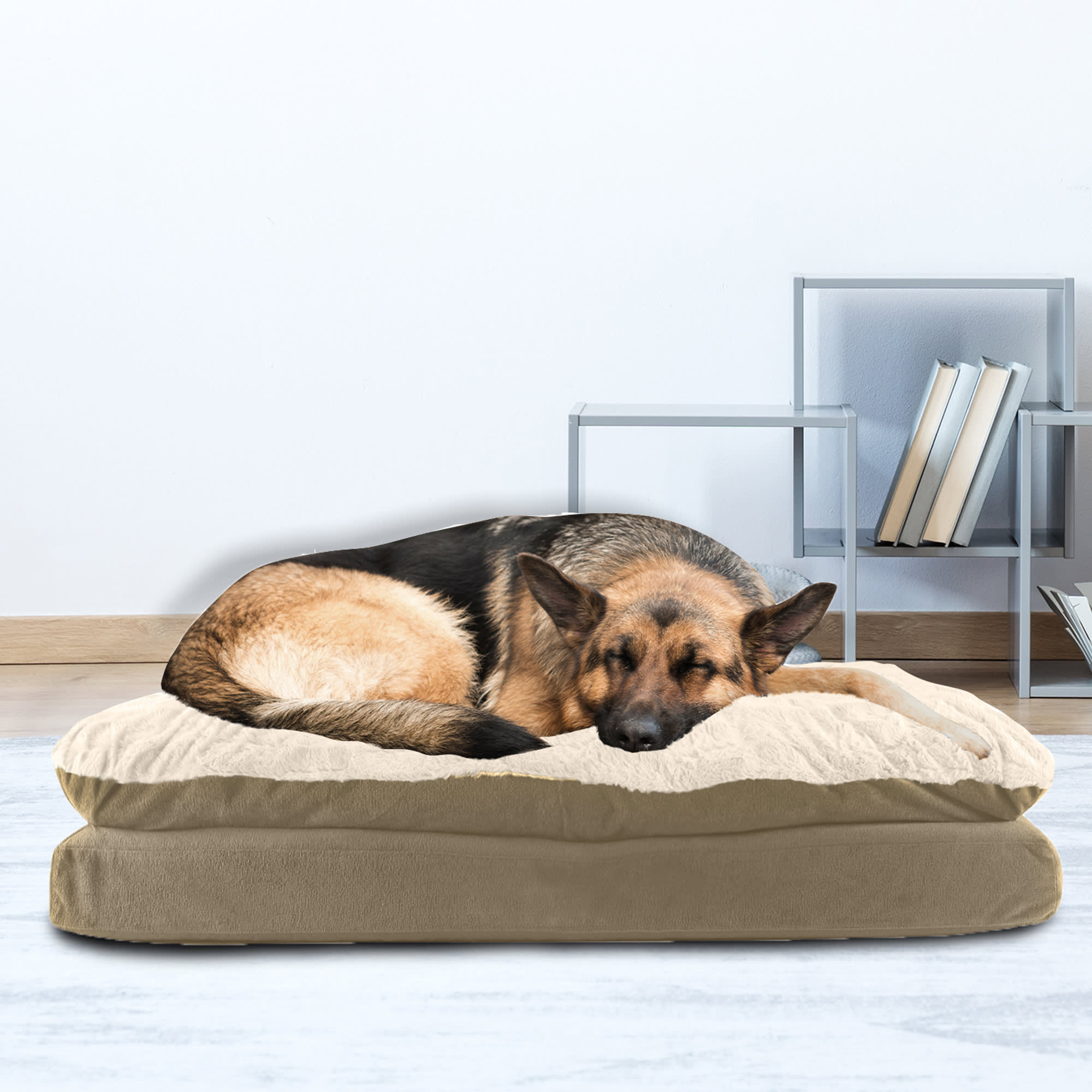 Canine Creations Mushroom Rectangle Dog Bed， 40