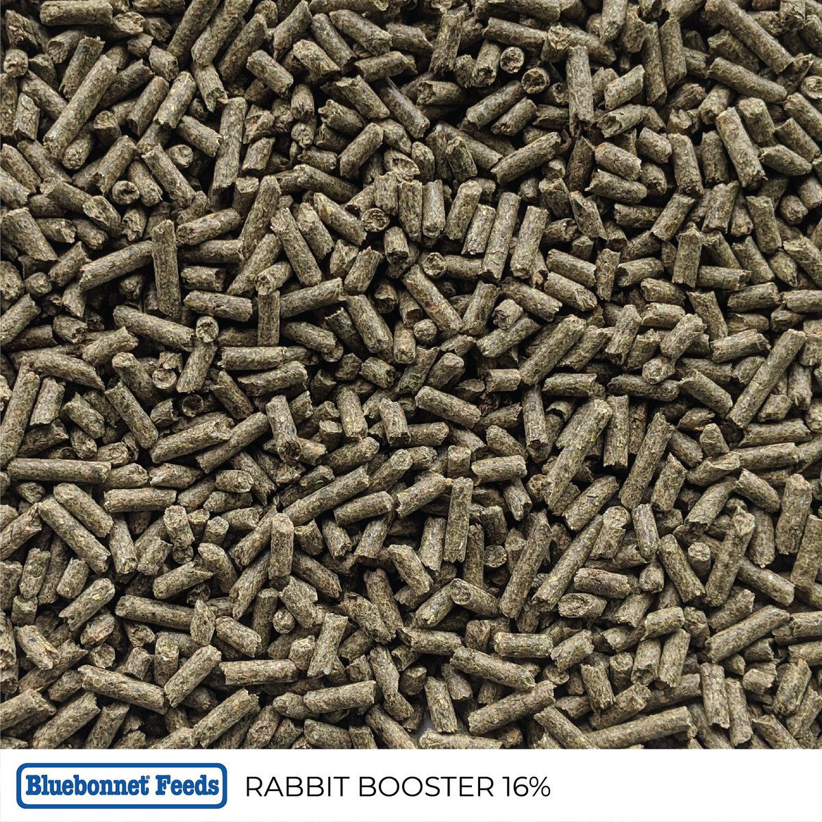 Bluebonnet Feeds Rabbit Booster 16% Protein Rabbit Food， 50-lb bag