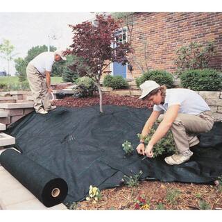 DeWitt 3 ft. x 100 ft. 4.1-Ounce Landscape Weed Barrier Fabric (2 Pack) 2 x DWT-20-YR-3100RF