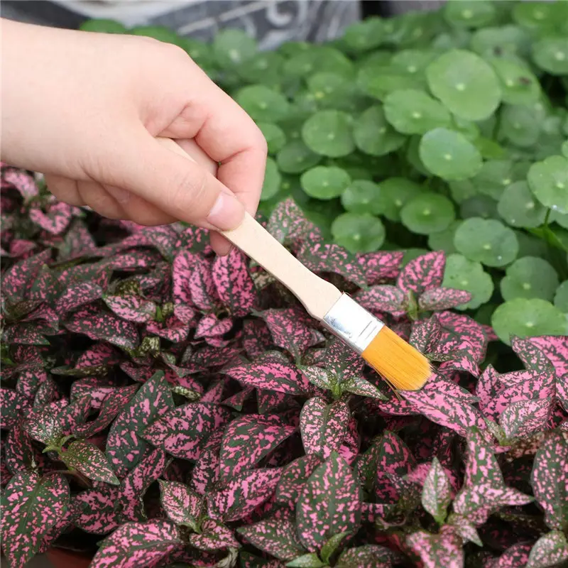 10 pcs Succulent Plants planting tools  Mini Garden Hand Tools Transplanting Miniature Planting Gardening Tool