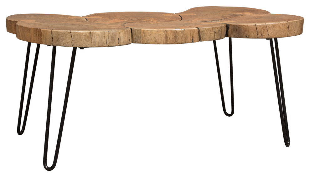 Joss Natural Acacia Live Edge Rectangle Cocktail Table  Black Hairpin Legs   Rustic   Coffee Tables   by Morning Design Group  Inc  Houzz