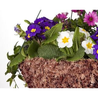 Mosser Lee 432 cu. in. Sphagnum Moss 110