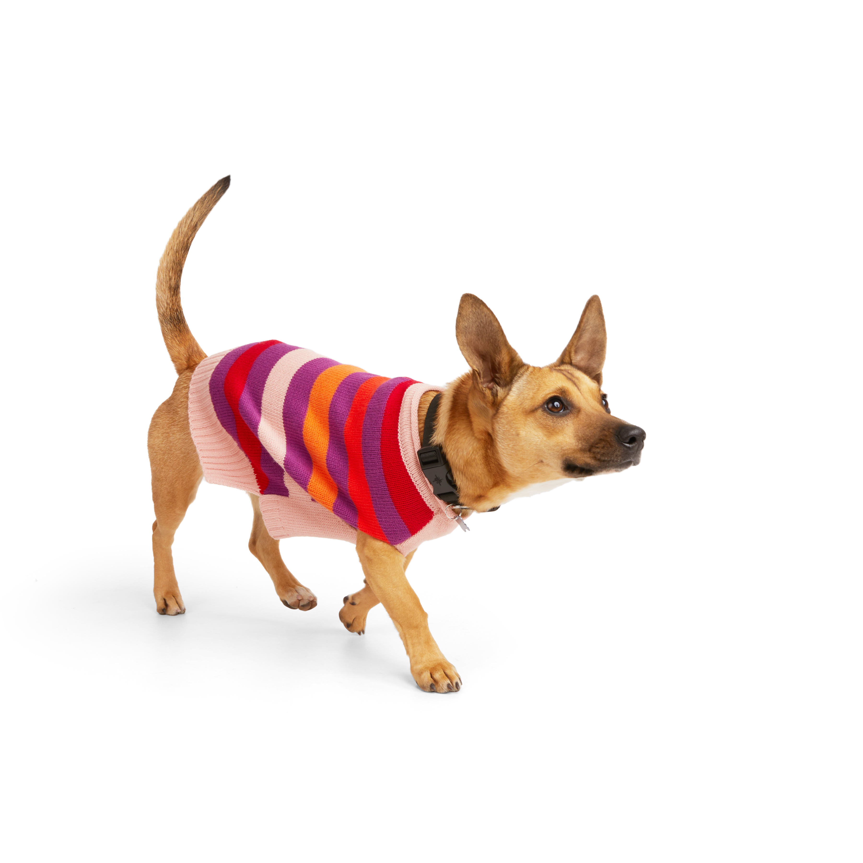 YOULY Pink Stripe Dog Sweater， XX-Small