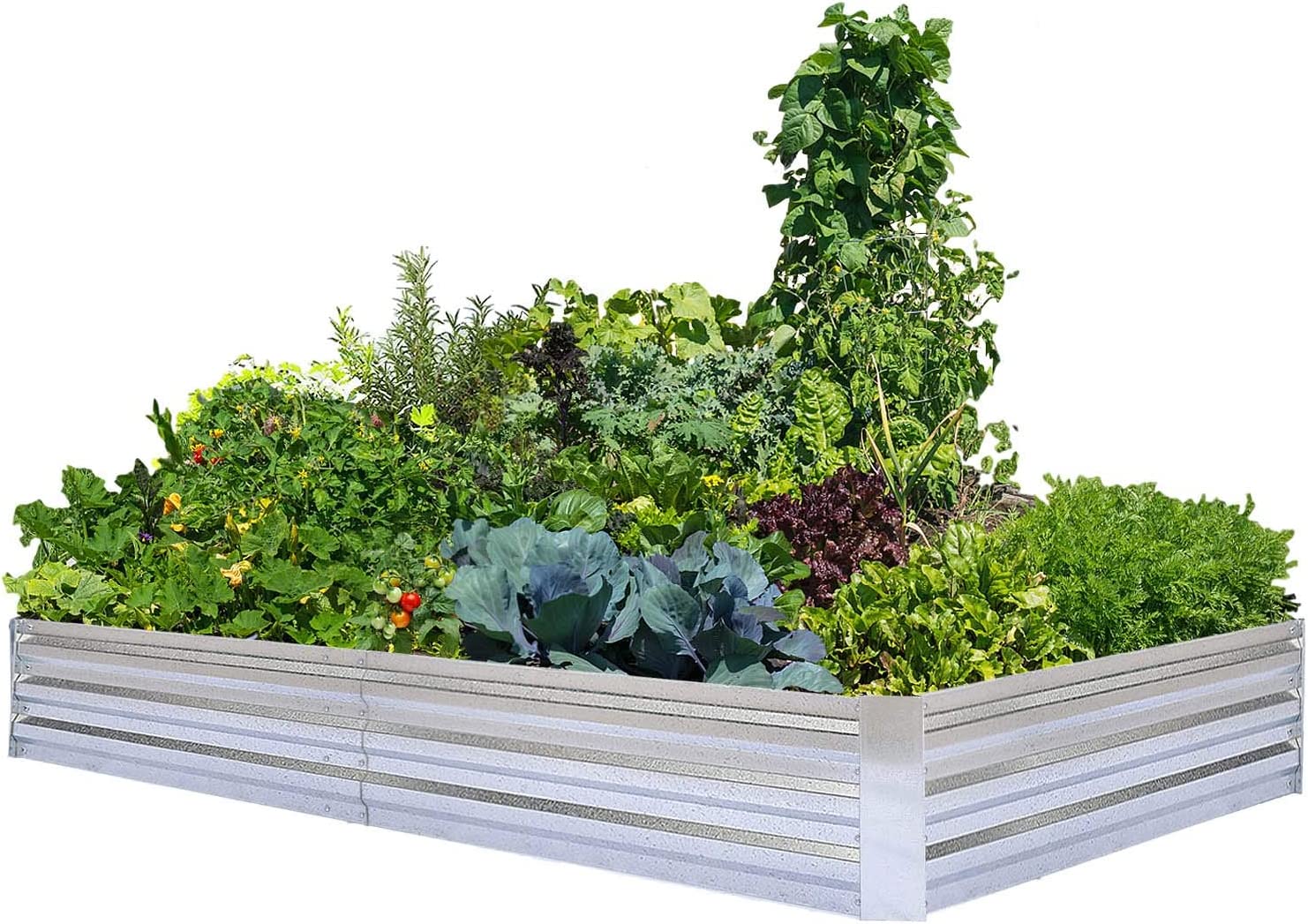 FOYUEE Galvanized Raised Garden Beds, 8x4x1ft, for Vegetables Large Metal Planter Box Steel Kit Flower Herb Flowers