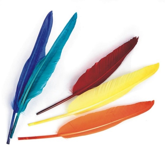 S S Worldwide Quill Feathers