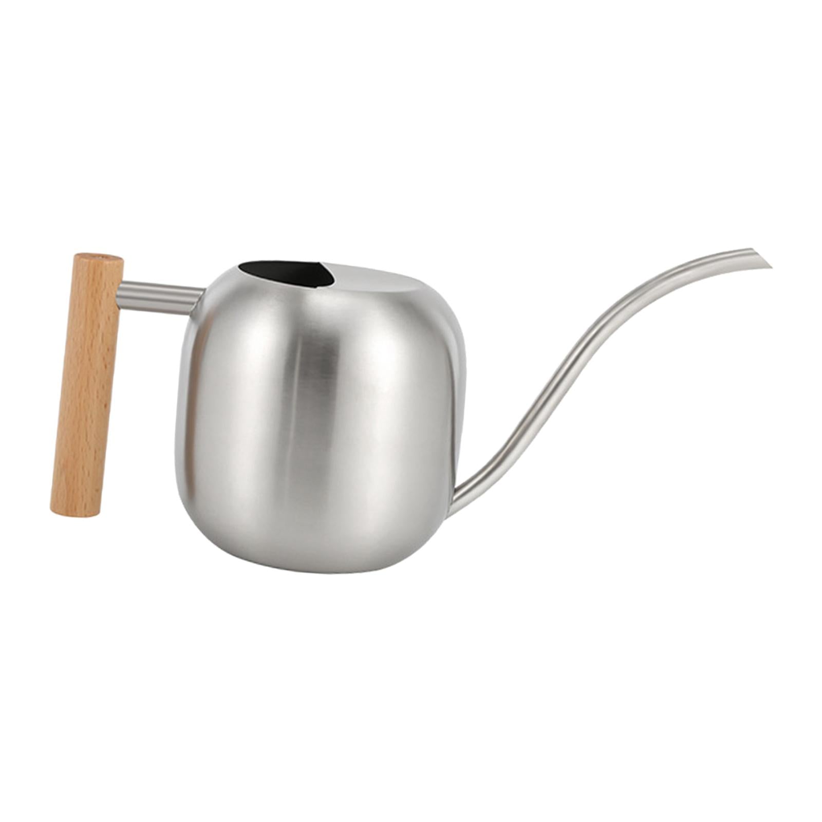 Stainless Steel Indoor Watering Can ,Modern Watering Can Pot, Wooden Handle Long Spout Watering Can for Patio, Flower ,Outdoor Decorative