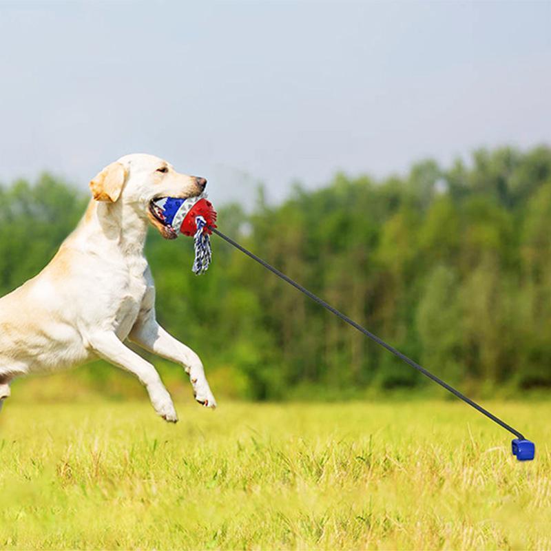 Pet Rope Ball Outdoor Training Toy