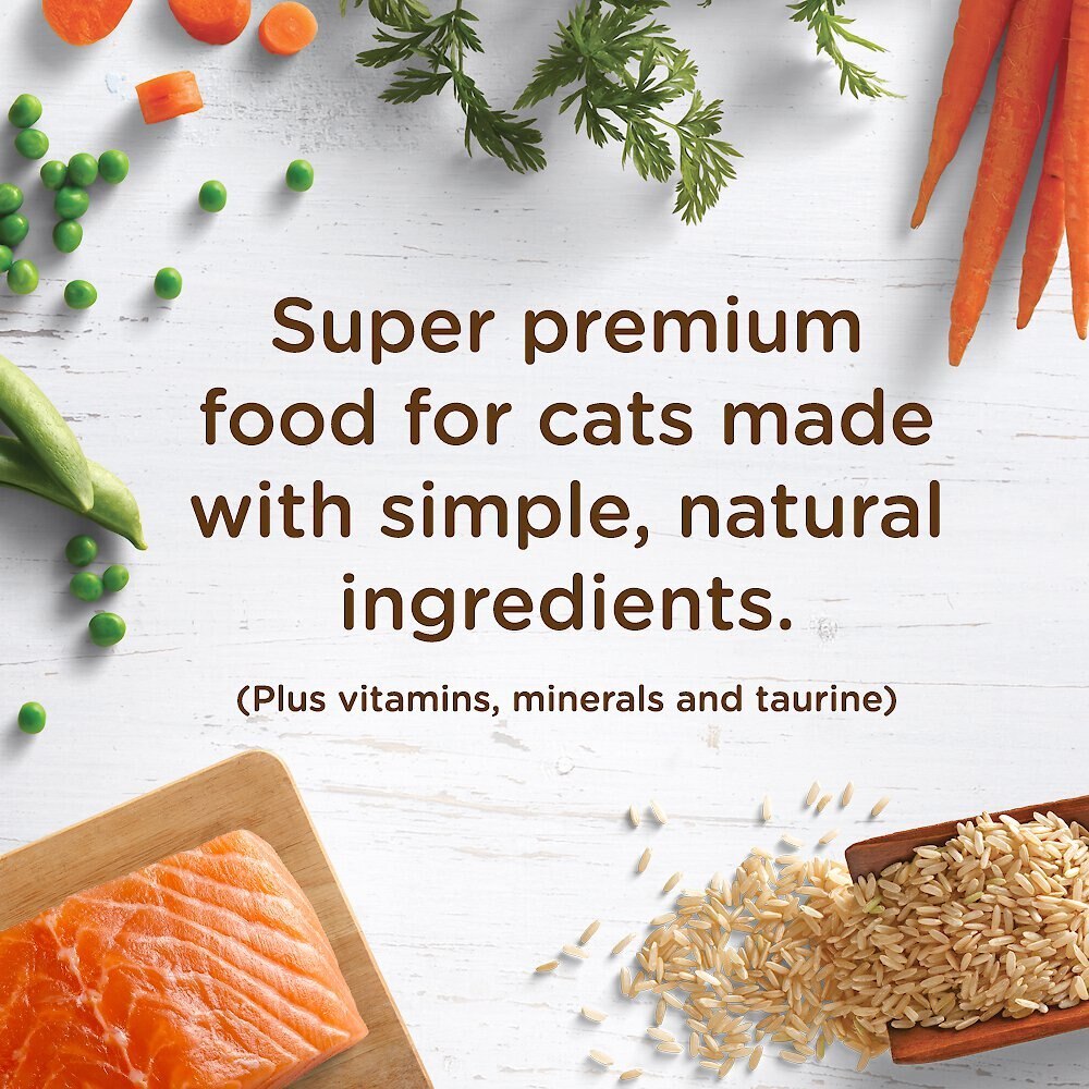 Rachael Ray Nutrish Natural Salmon and Brown Rice Recipe Dry Cat Food