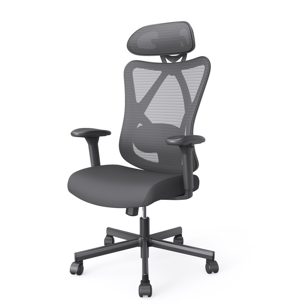 Mcintosh Contemporary Ergonomic Height Adjustable Desk Chair by Furniture of America