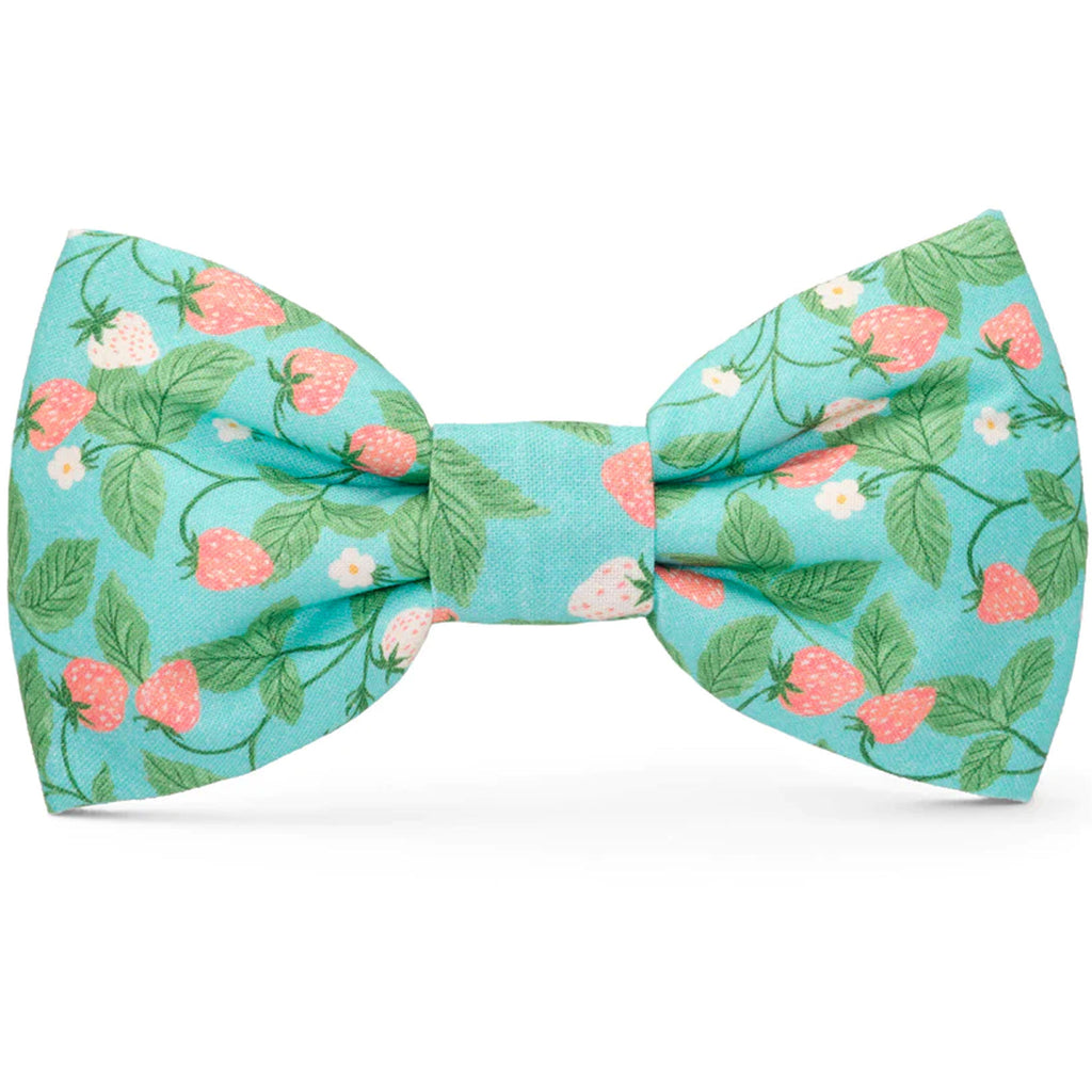 The Foggy Dog Bowtie - Berry Patch