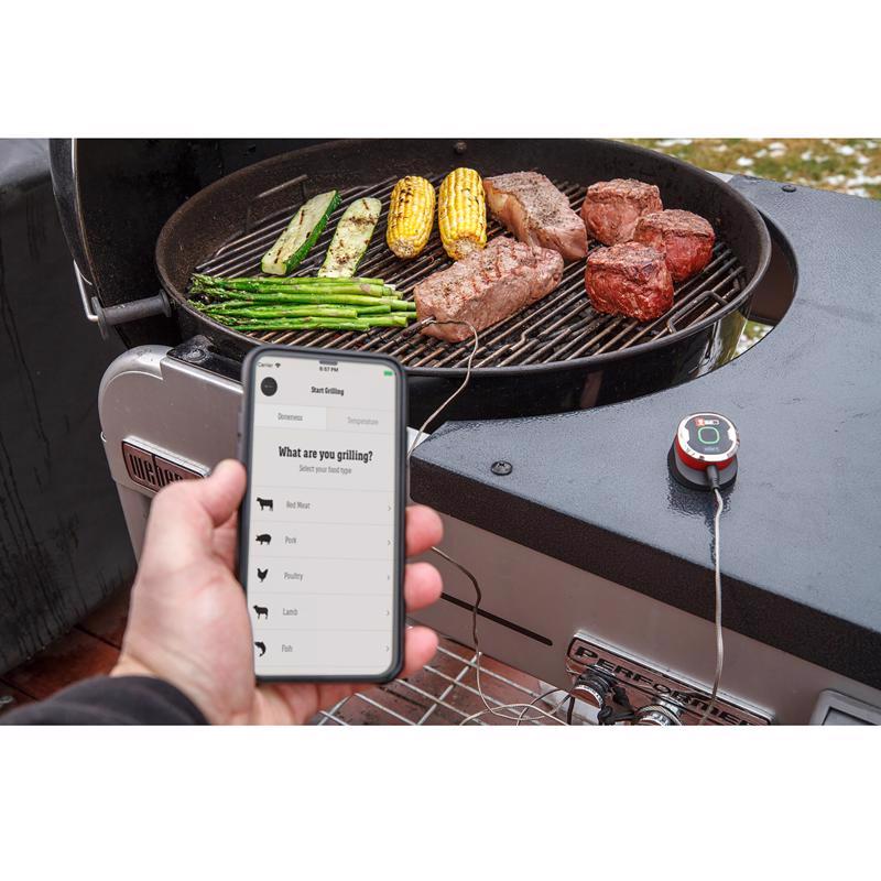 WEBER IGRILL MINI