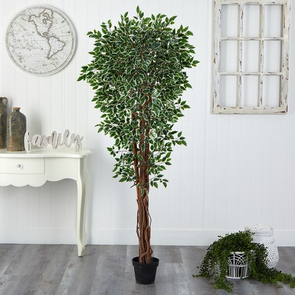 70 Variegated Ficus Artificial Tree UV Resistant (Indoor/Outdoor)