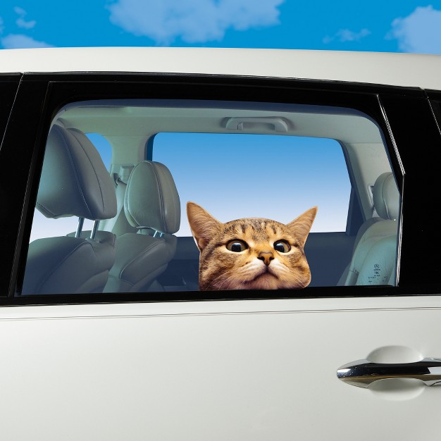 Collections Etc Whimsical Cat Face Vinyl Window Decal