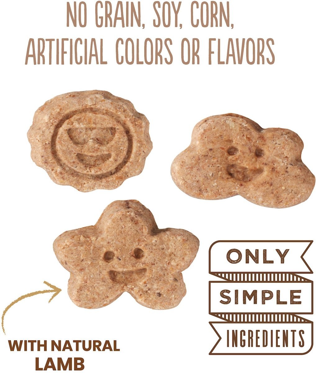 Cloud Star Wag More Bark Less Grain-Free Oven Baked Assorted Flavors Mini Biscuits Dog Treats