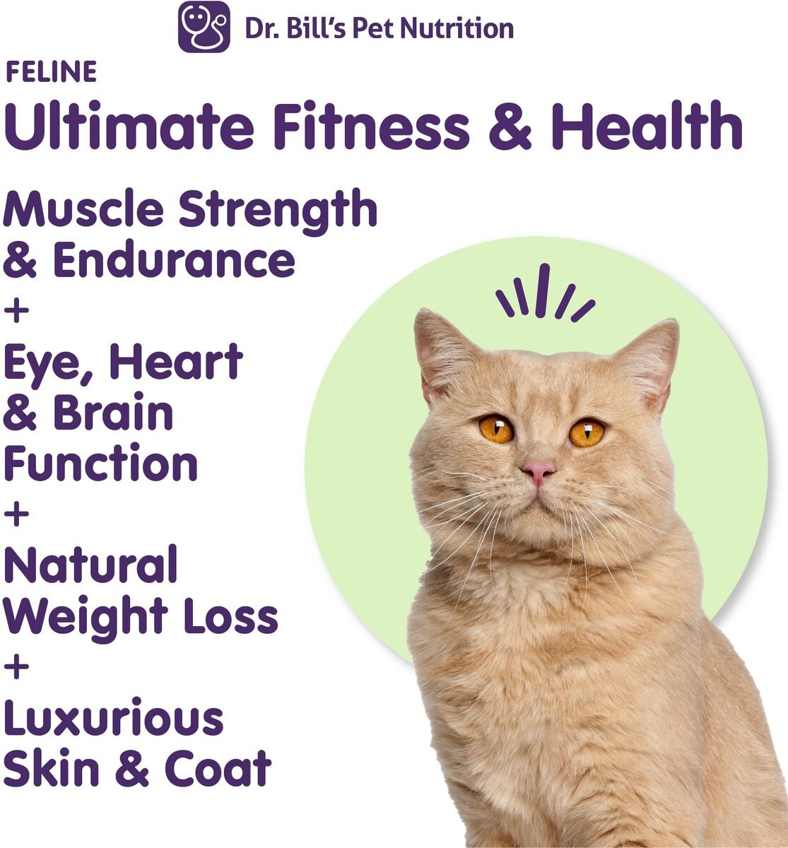 Dr. Bill's Pet Nutrition Feline Ultimate Health and Fitness Cat Supplement Powder， 180-gm pouch