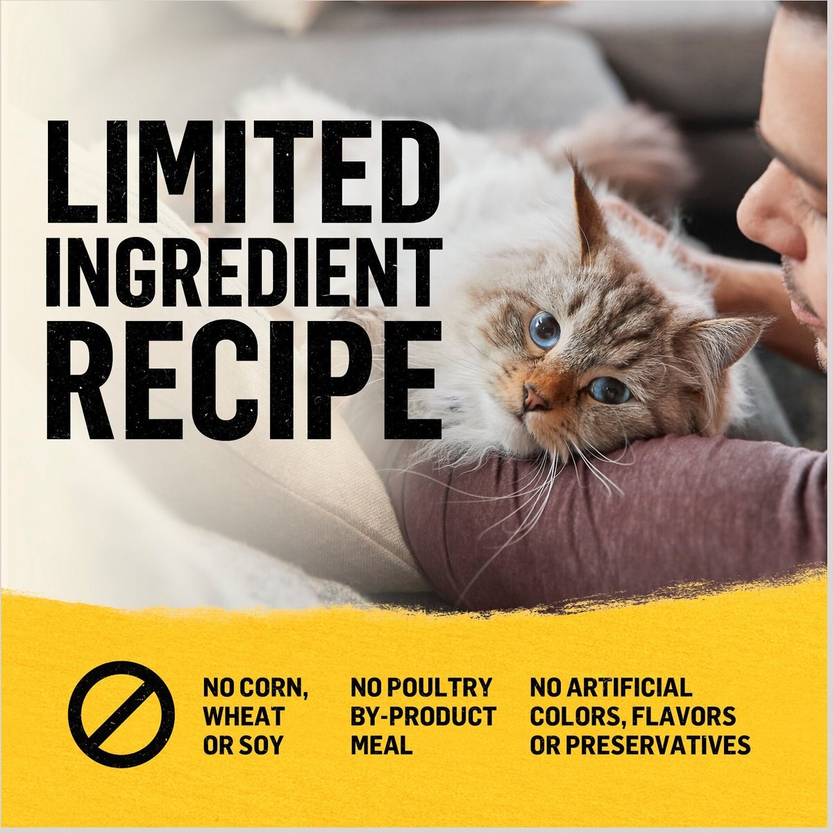 Purina Beyond Simply White Meat Chicken and Whole Oat Meal Recipe Dry Cat Food