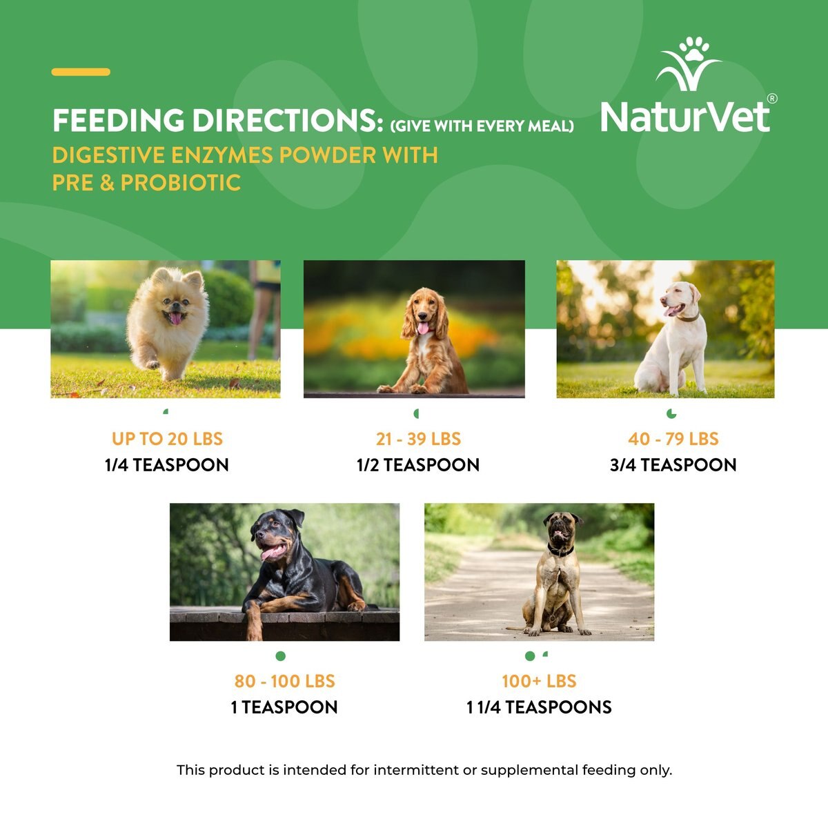 NaturVet Digestive Enzymes Plus Probiotic Powder Digestive Supplement for Cats and Dogs