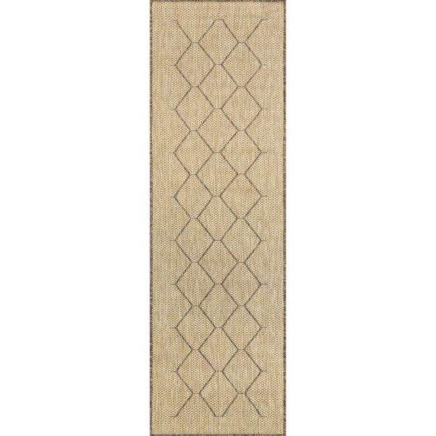 Nuloom Jae Moroccan Indoor outdoor Area Rug