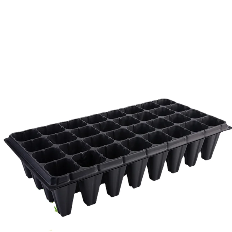 Supply strawberry seedling tray for tree height to deepen