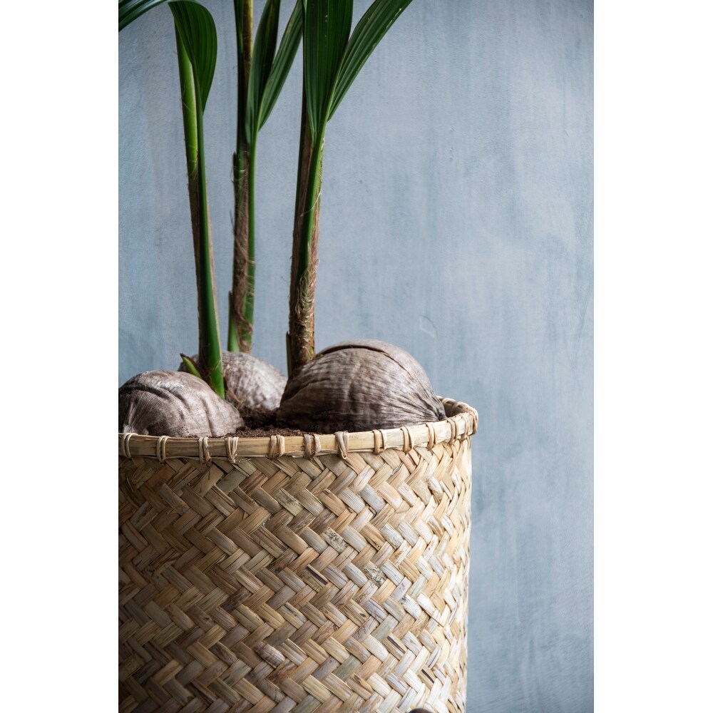 Pottery Pots Zayn Bamboo Indoor Outdoor Round Planter  Natural Finish