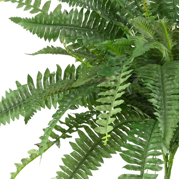 Boston Fern 2pk (40) - Nearly Natural