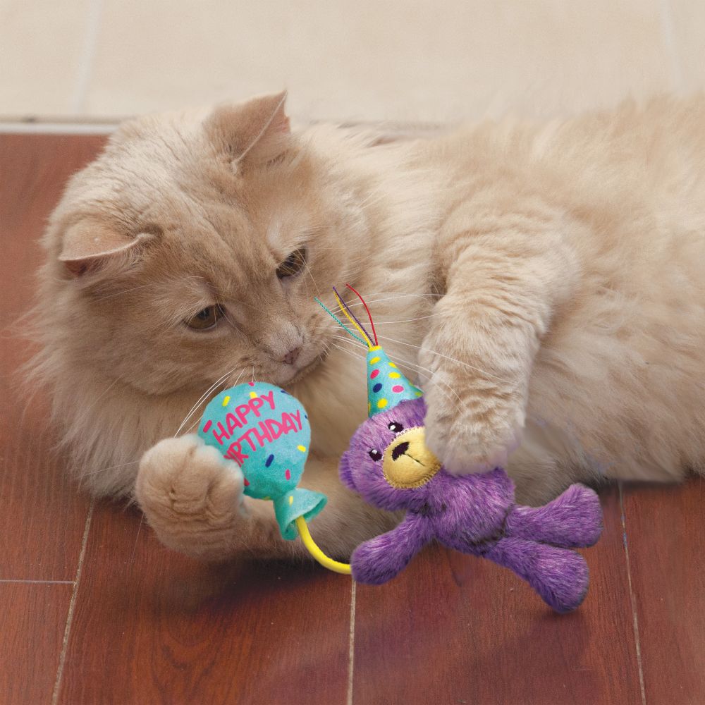 Kong Occasions Birthday Teddy Cat Toy From Incredible Pets