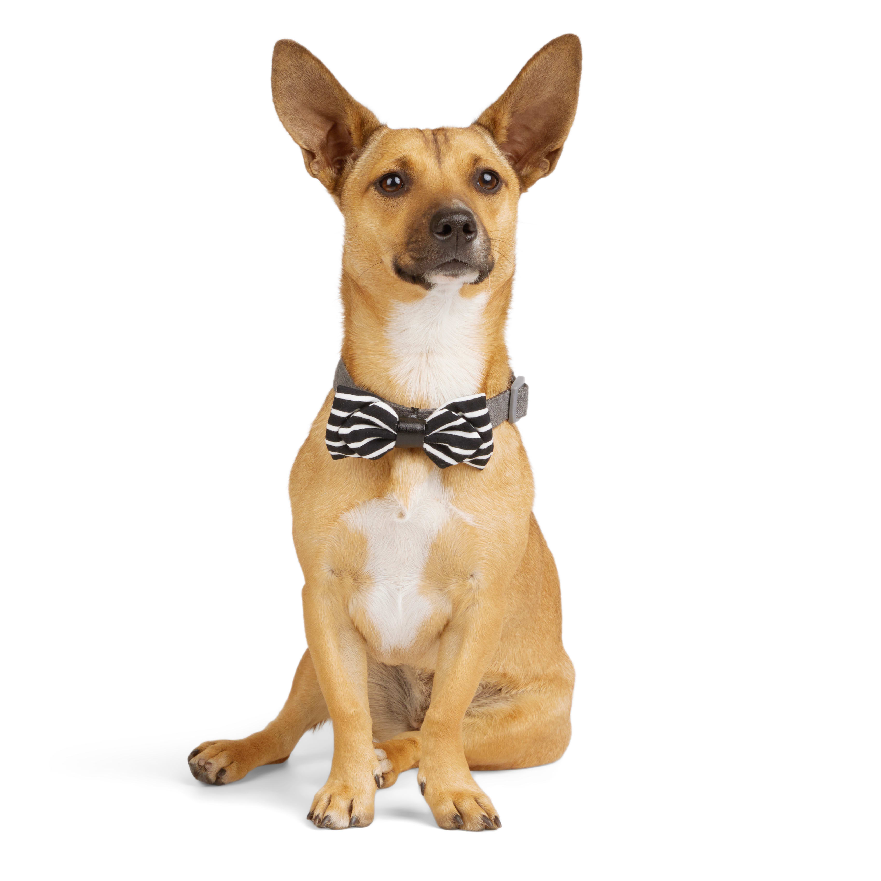 YOULY Bowtie 2-pack for Dogs