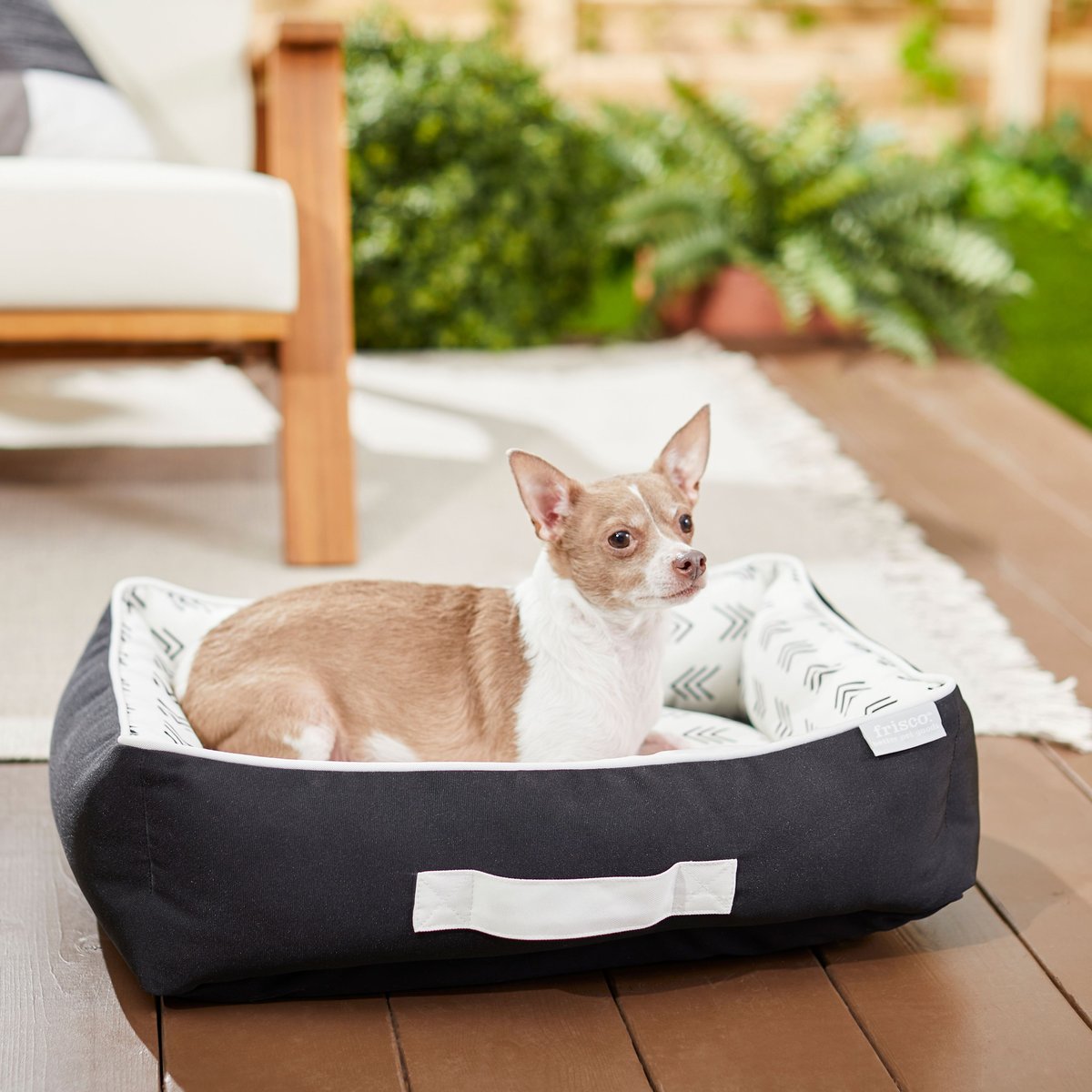 Frisco Indoor/Outdoor Modern Cuddler Bolster Cat and Dog Bed