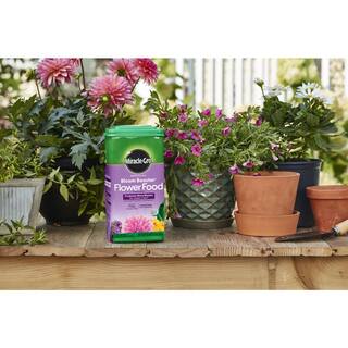 Miracle-Gro 5.5 lbs. Water Soluble Bloom Booster Flower Food 300981005