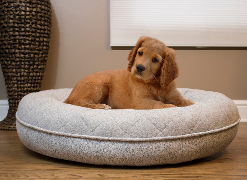 Arlee Donut Lounger and Cuddler Style Pet Bed for Dogs and Cats