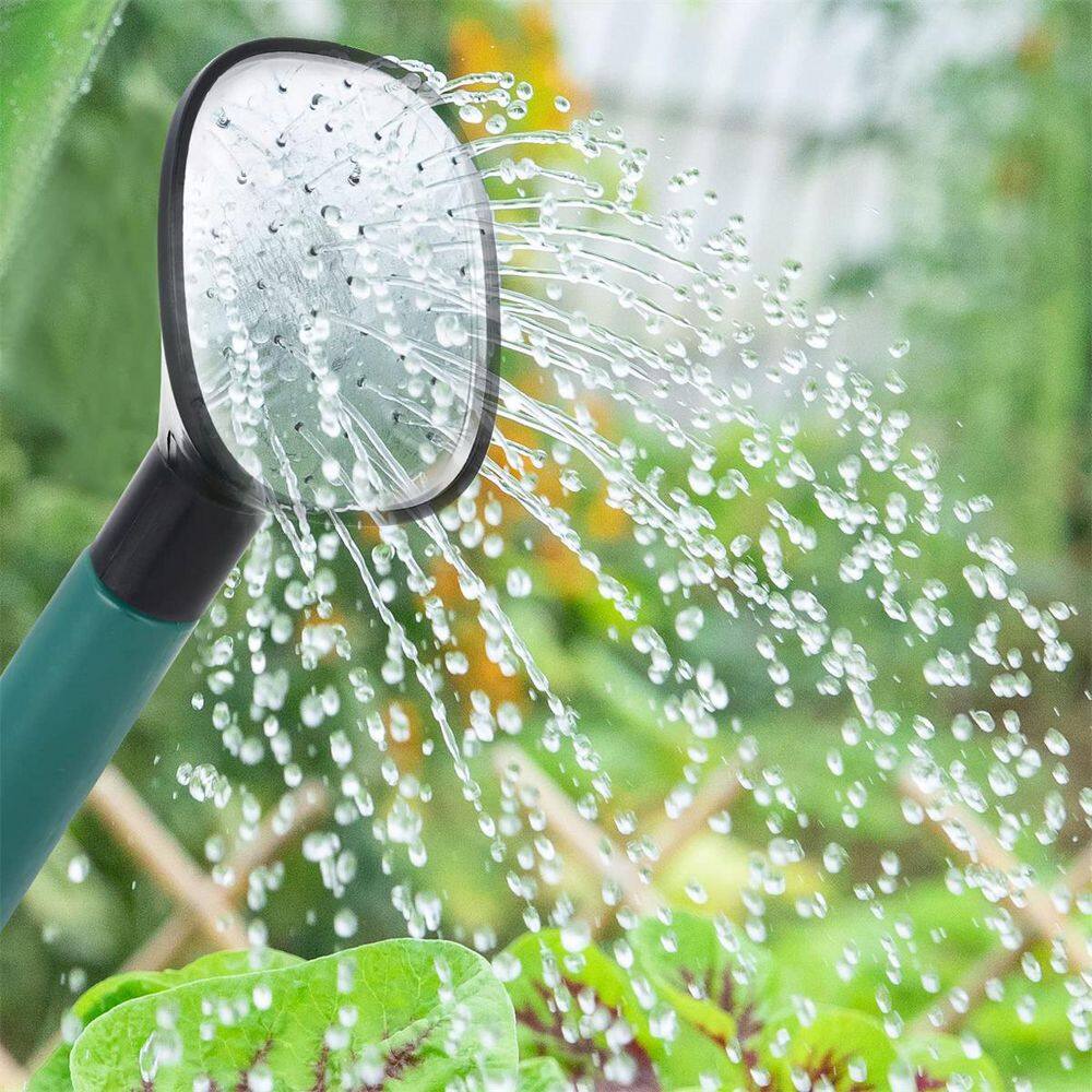 Dyiom Green 1 Gal.  Garden Watering Cans Large Long Spout with Sprinkler Head B09X2S695D