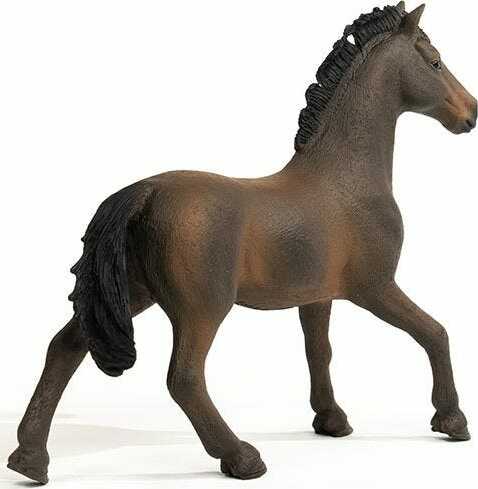 Oldenburger Stallion