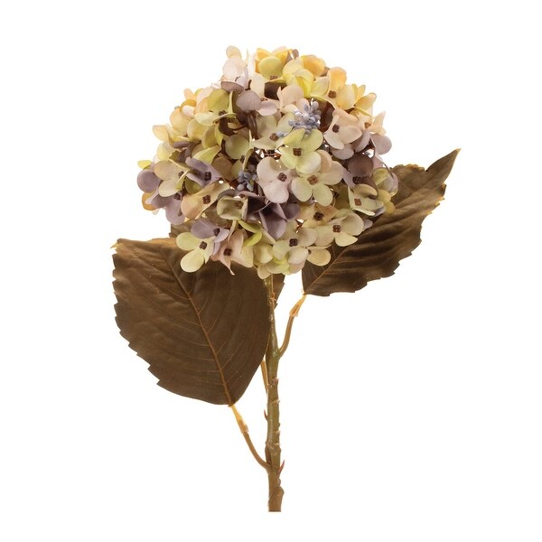 Harvest Hydrangea Stem (Set of 6)